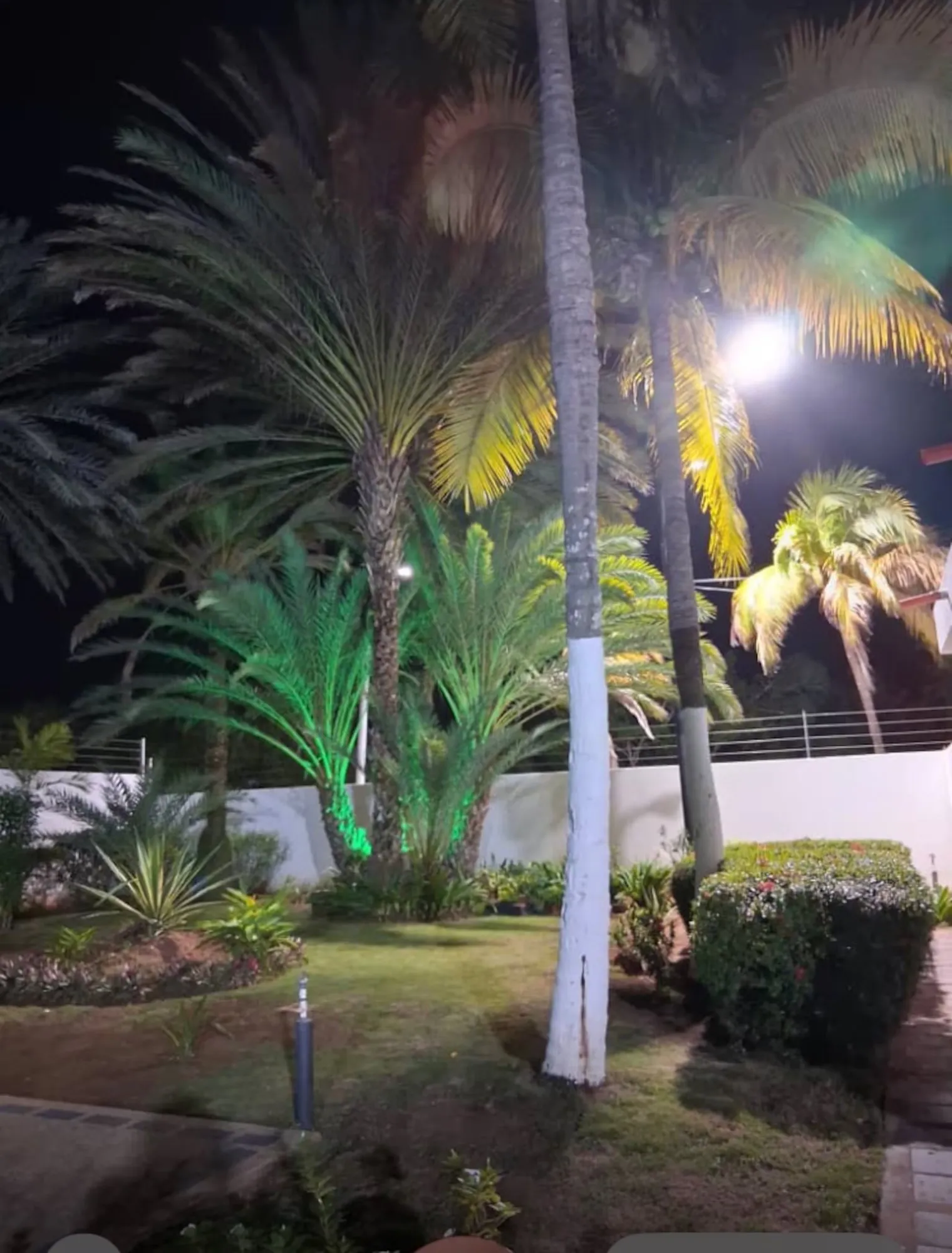 Jardín noche · Atenea Suites
