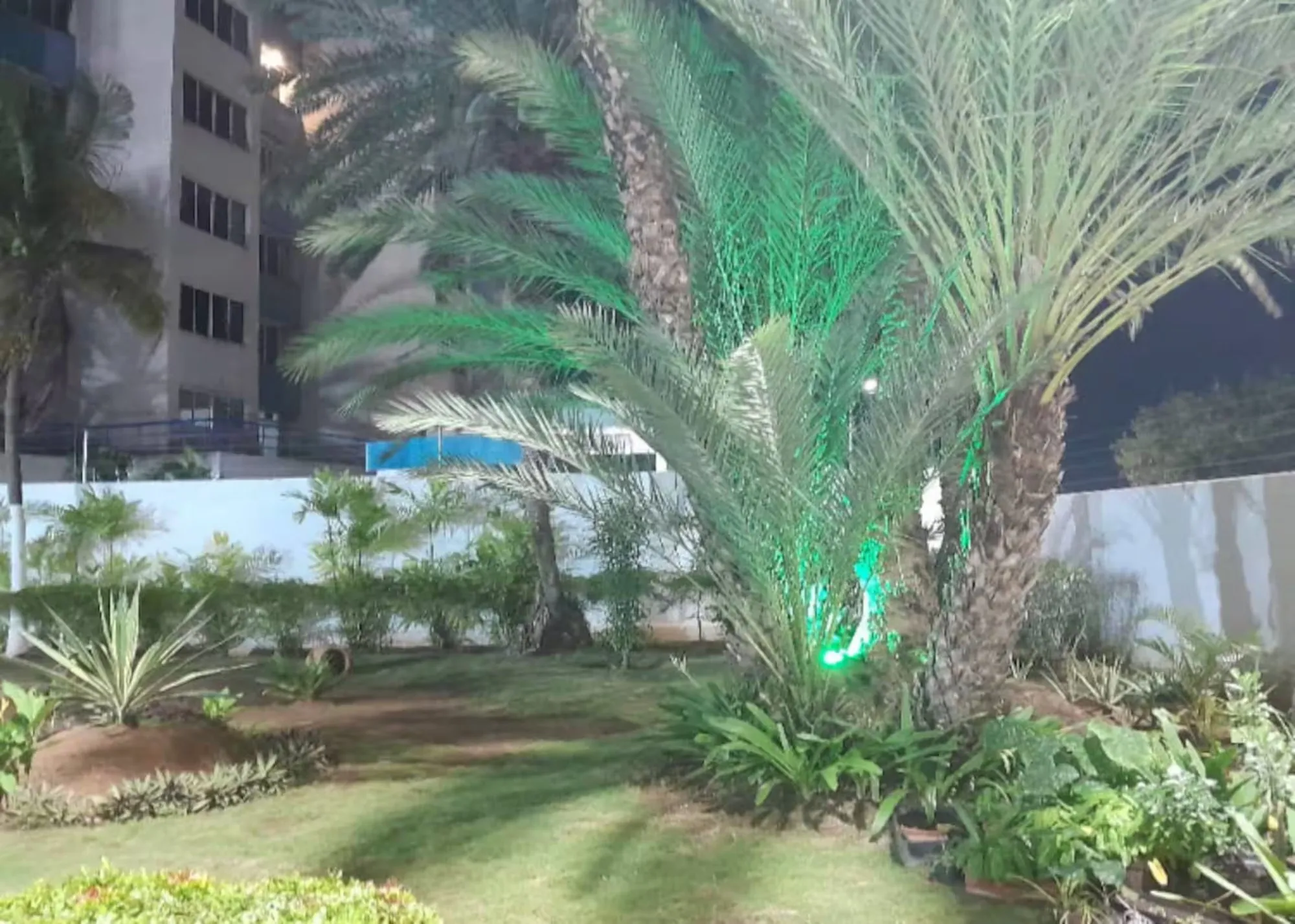 Jardín iluminado · Atenea Suites